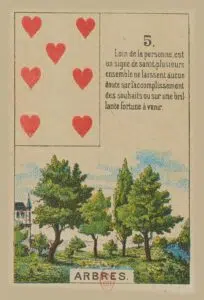 Arbre - Carte n°5 du Petit Lenormand