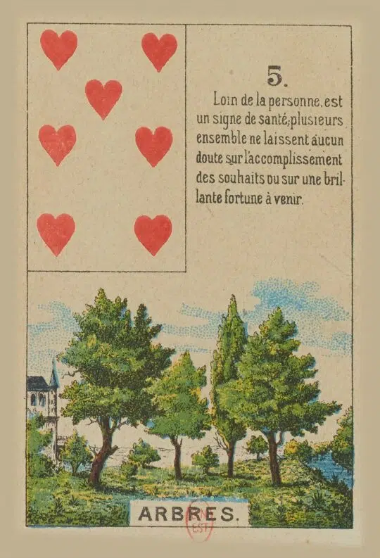 Arbre - Carte n°5 du Petit Lenormand