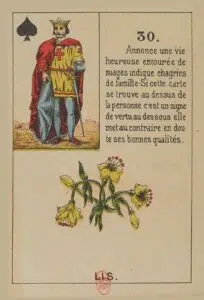 Lys - Carte n°30 du Petit Lenormand