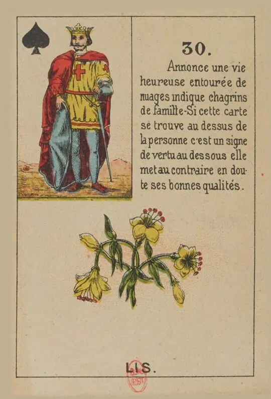 Lys - Carte n°30 du Petit Lenormand