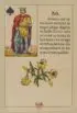 Lys - Carte n°30 du Petit Lenormand